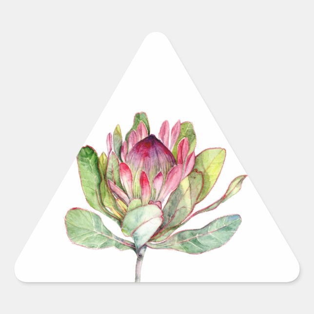 Protea Flower Triangle Sticker (Front)