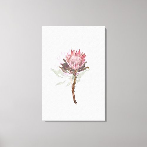 protea flowers canvas print