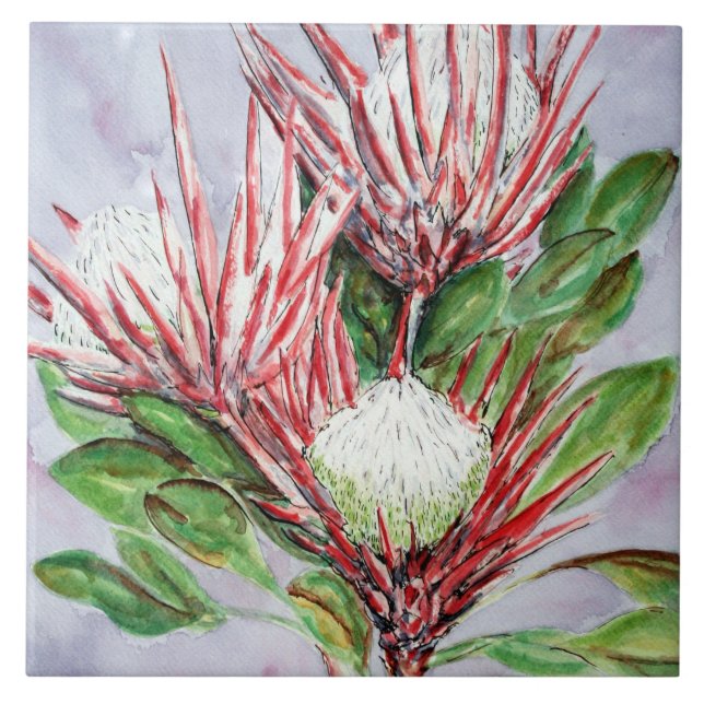Protea Flowers Ceramic Tile (Front)