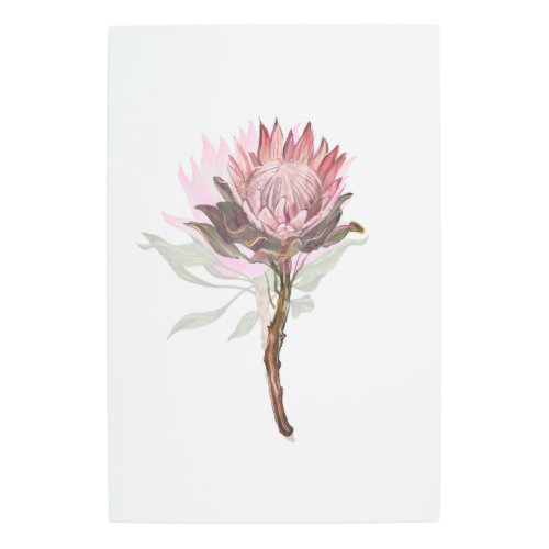 protea flowers metal print