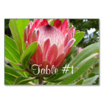 Protea Flowers Table Number