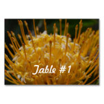 Protea Flowers Table Number