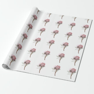 protea flowers wrapping paper