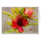 Protea Love