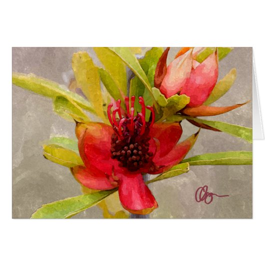 Protea Love Cards (Front Horizontal)