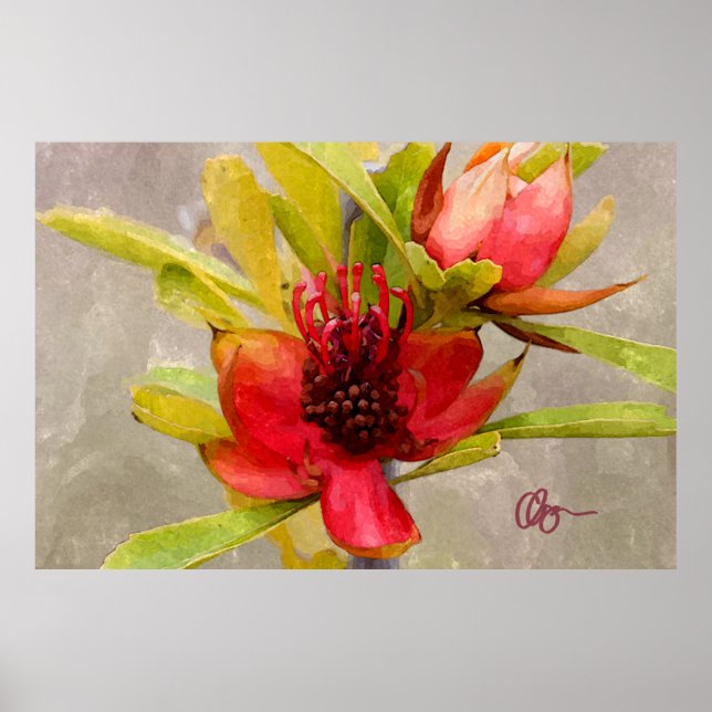 Protea Love Poster (Front)