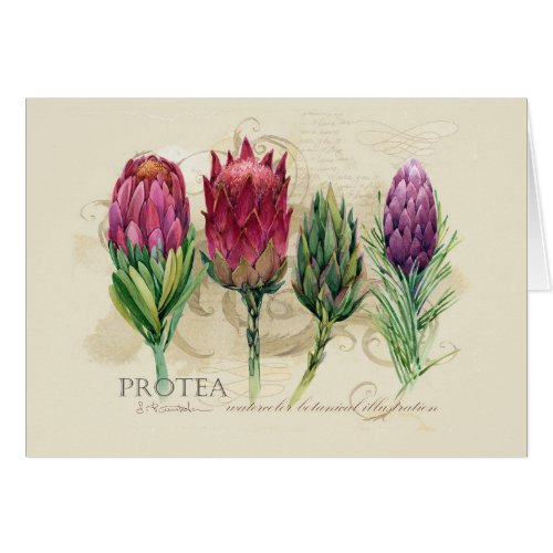 Protea Notecard