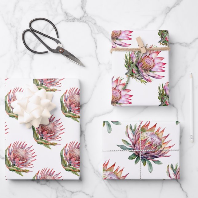 Protea sugarbush flower South African plant Wrapping Paper Sheets (Front)