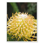 Protea Temporary Tattoos