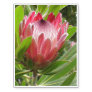 Protea Temporary Tattoos