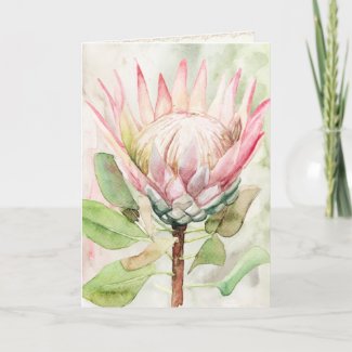 Protea Watercolor Art Print Greeting Card