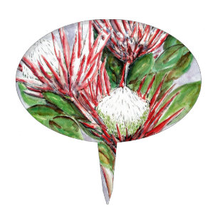 Proteas Cake Topper