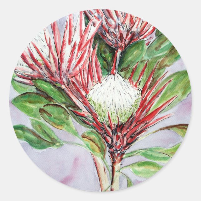 Proteas Classic Round Sticker (Front)
