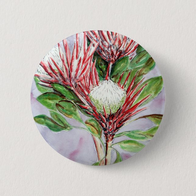 Proteas Pinback Button (Front)