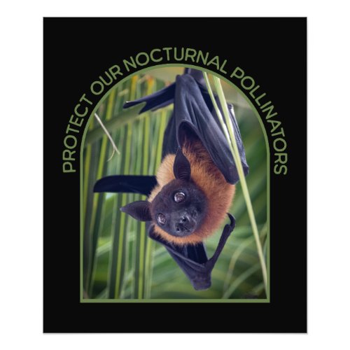 Protect Bats Photo Enlargement