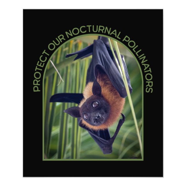 Protect Bats Photo Enlargement (Front)