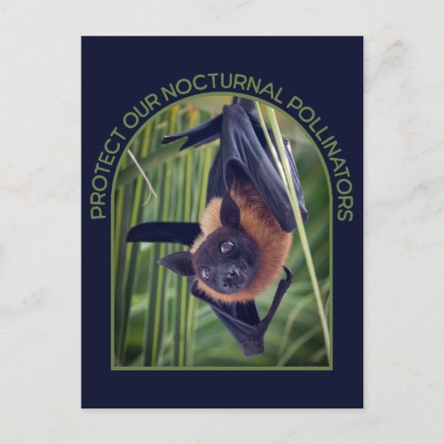 Protect Bats Postcard