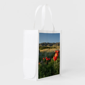 Protect Casper Mountain Reusable Grocery Bag