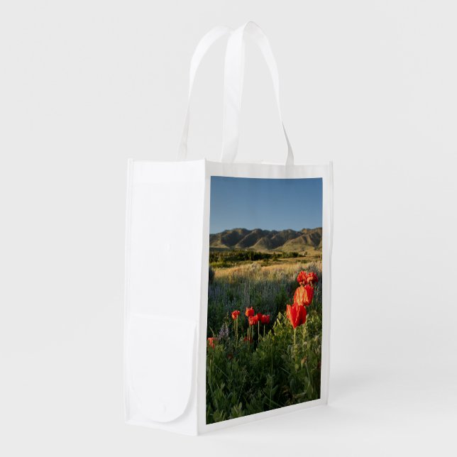 Protect Casper Mountain Reusable Grocery Bag (Front Side)