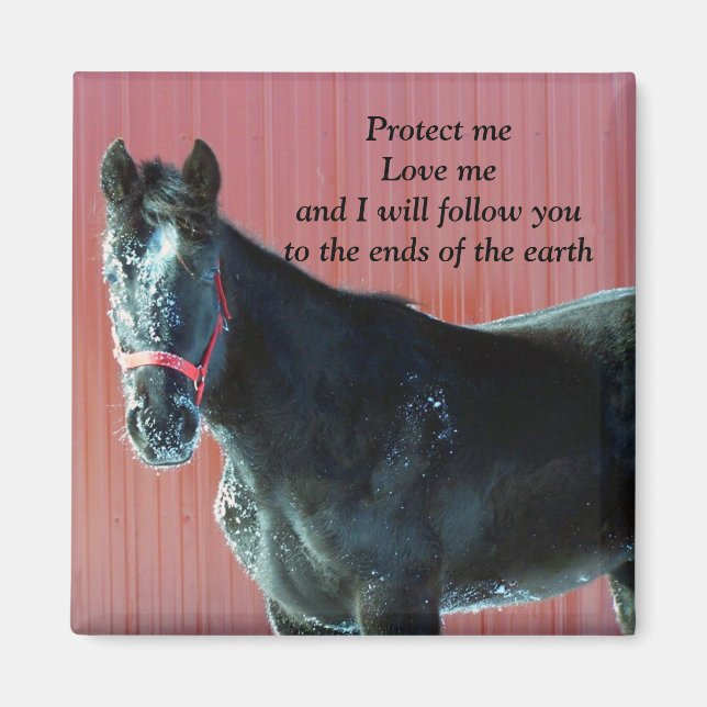 Protect me magnet (Front)