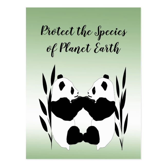 Protect Our Species Earth Day Panda Postcard