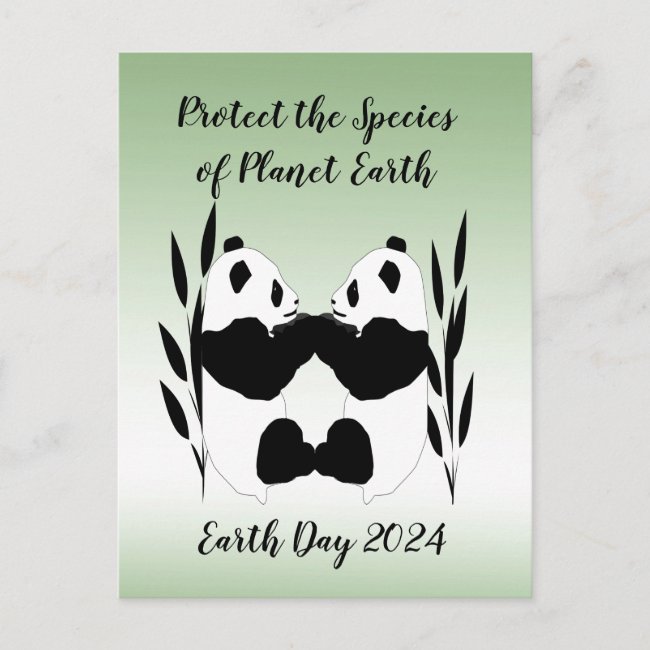 Protect Our Species Pandas 2024 Calendar on Back 
