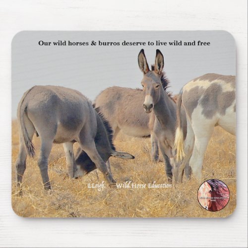 Protect our Wild Burros Mouse Pad
