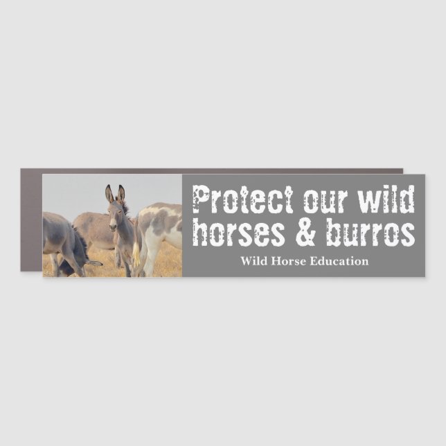 Protect Our Wild Horses & Burros Car Magnet (Front)