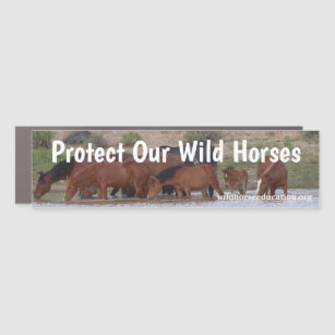 Protect Our Wild Horses Car Magnet