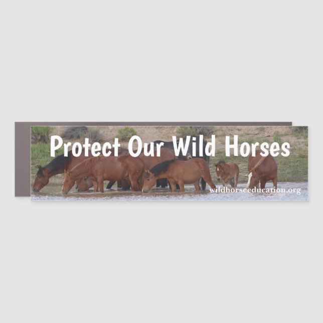 Protect Our Wild Horses Car Magnet (Front)
