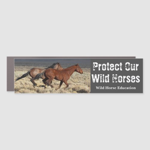 Protect Our Wild Horses Car Magnet