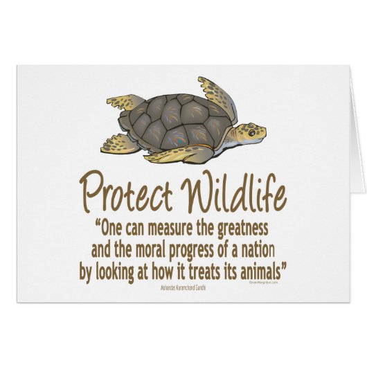 Protect Sea Turtles Cards (Front Horizontal)