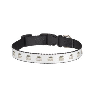 Protect Sea Turtles Pet Collar