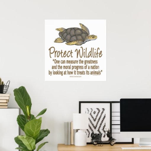 Protect Sea Turtles Poster | Zazzle