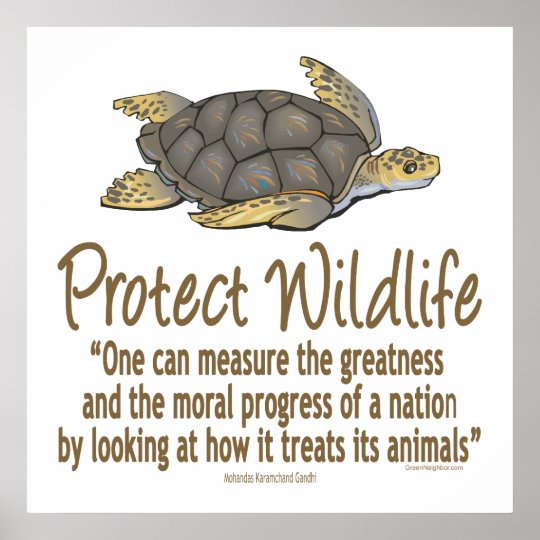 protect-sea-turtles-poster-zazzle