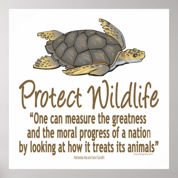 Protect Sea Turtles Poster