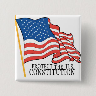 PROTECT THE CONSTITUTION PINBACK BUTTON