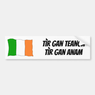 Protect The Irish Language Bumper Sticker