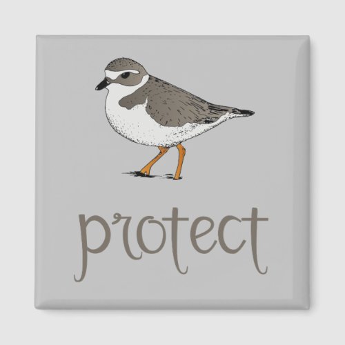 Protect the Piping Plover Bird Magnet