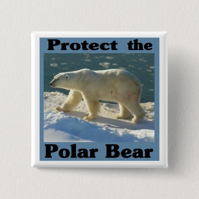 Protect the Polar Bear Button (Front)
