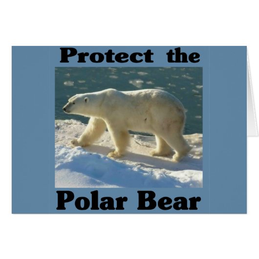 Protect the Polar Bear Cards (Front Horizontal)