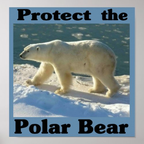 Protect the Polar Bear Poster