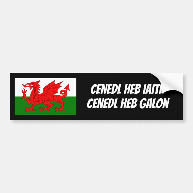 Protect The Welsh Language Bumper Sticker (Front)
