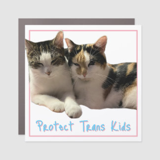Protect Trans Kids Car Magnet