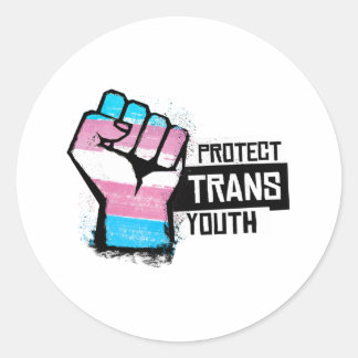Protect Trans Youth - Pride Fist Classic Round Sticker