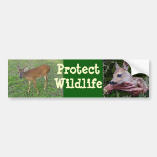 Protect Wildlife Bumper Sticker