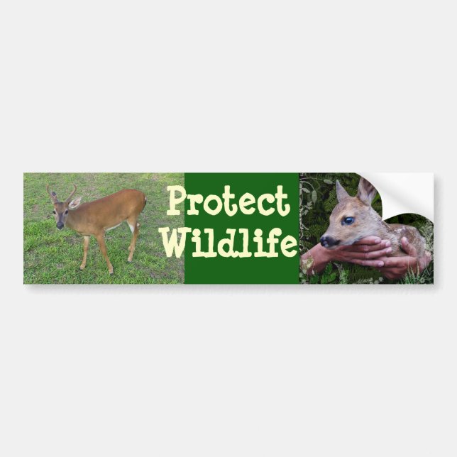 Protect Wildlife Bumper Sticker (Front)
