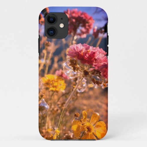 Protect Your Style iPhone Cover Collection