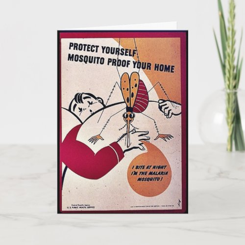 Protect Yourself Mosquito Proof Your Home