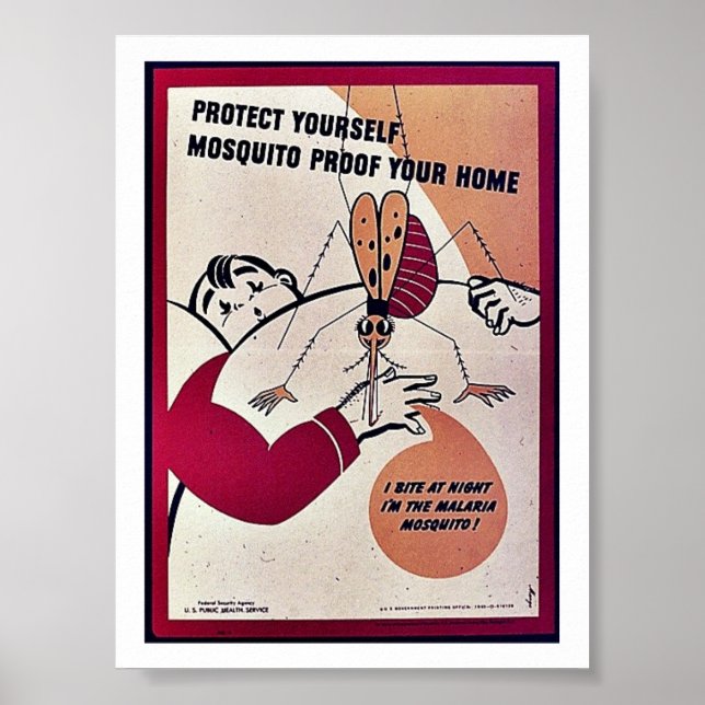 Protect Yourself Mosquito Proof Your Home Poster (Front)